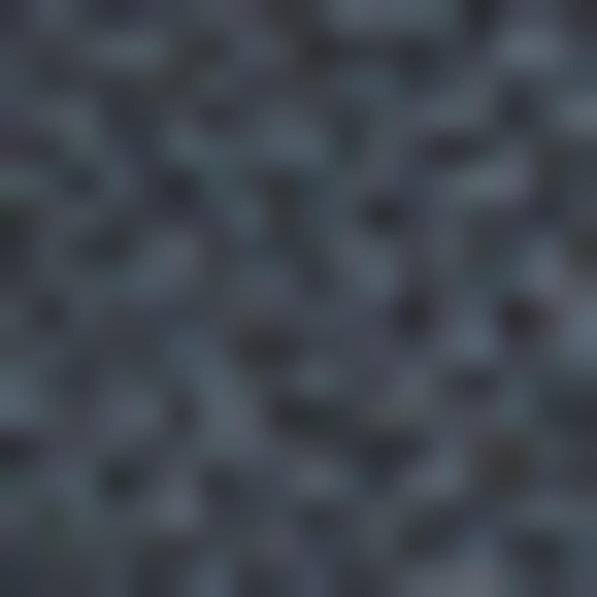 W Freelight Alpha Shorts