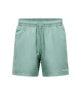 Swim Shorts Men Green Valley